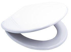 Klozeto dangtis RIDDER White, lėto nusileidimo, duroplastas, baltas, 02126100