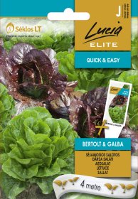 Daržovių sėklos, LUCIA ELITE BERTOLT&GALBA, SALOTOS SĖJAMOSIOS