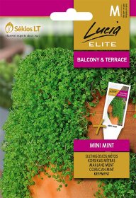 Prieskonių sėklos, LUCIA ELITE MINI MINT, MĖTOS SULTINGOSIOS, M
