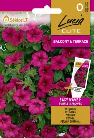 Gėlių sėklos, LUCIA ELITE WAVE H PURPLE IMPROVED, PETUNIJOS-SURFINIJOS, O
