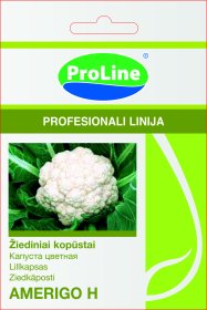 Sėklos daržovių, žiediniai kopūstai AMERIGON H, (02-07 mėn). D