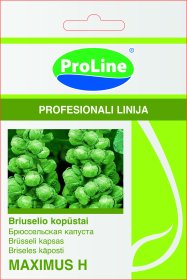 Sėklos daržovių, briuselio kopūstai MAXIMUS F1 (02-07 mėn). D