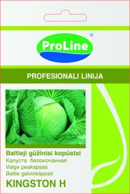 Sėklos, baltagūžiai kopūstai "Kingstonia H" SYNGENTA D, (02-07 mėn)